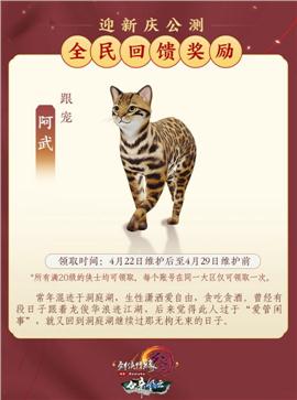 天龙八部私服投资